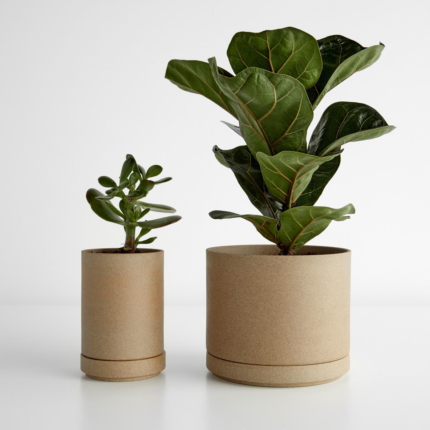 Hasami Natural Planters