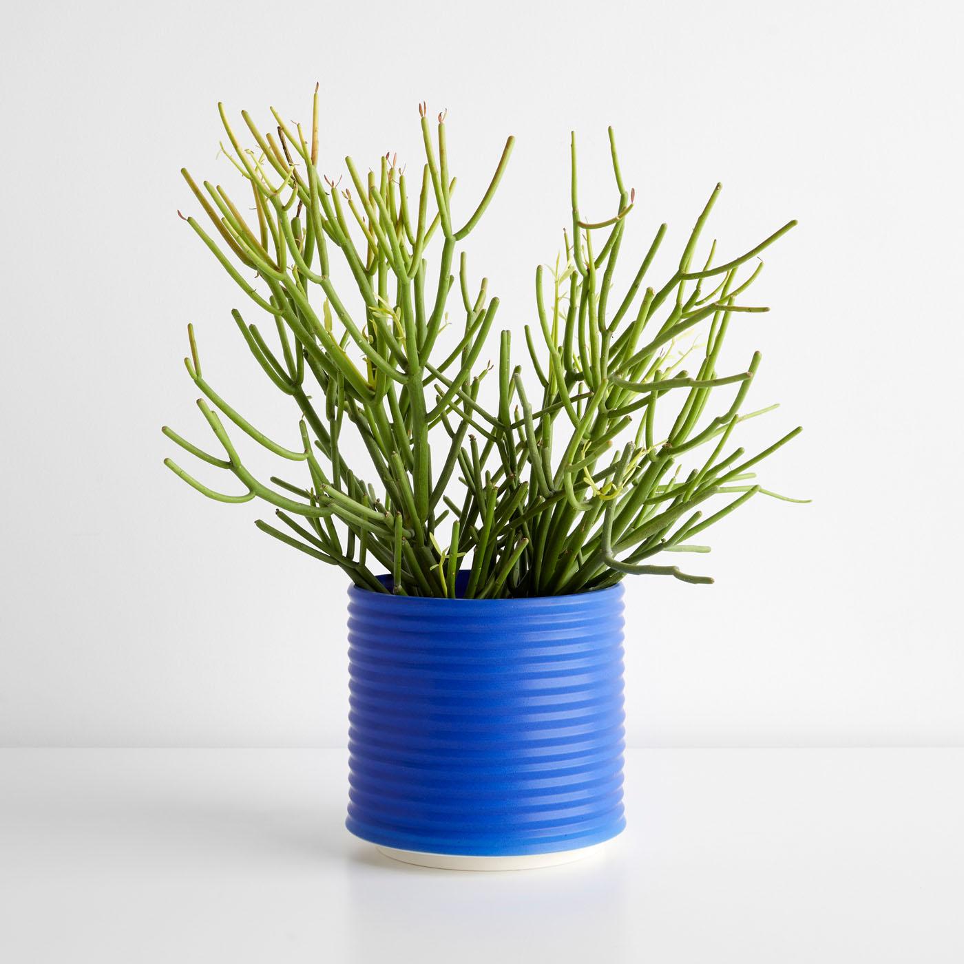 Oblique Electric Blue Planter