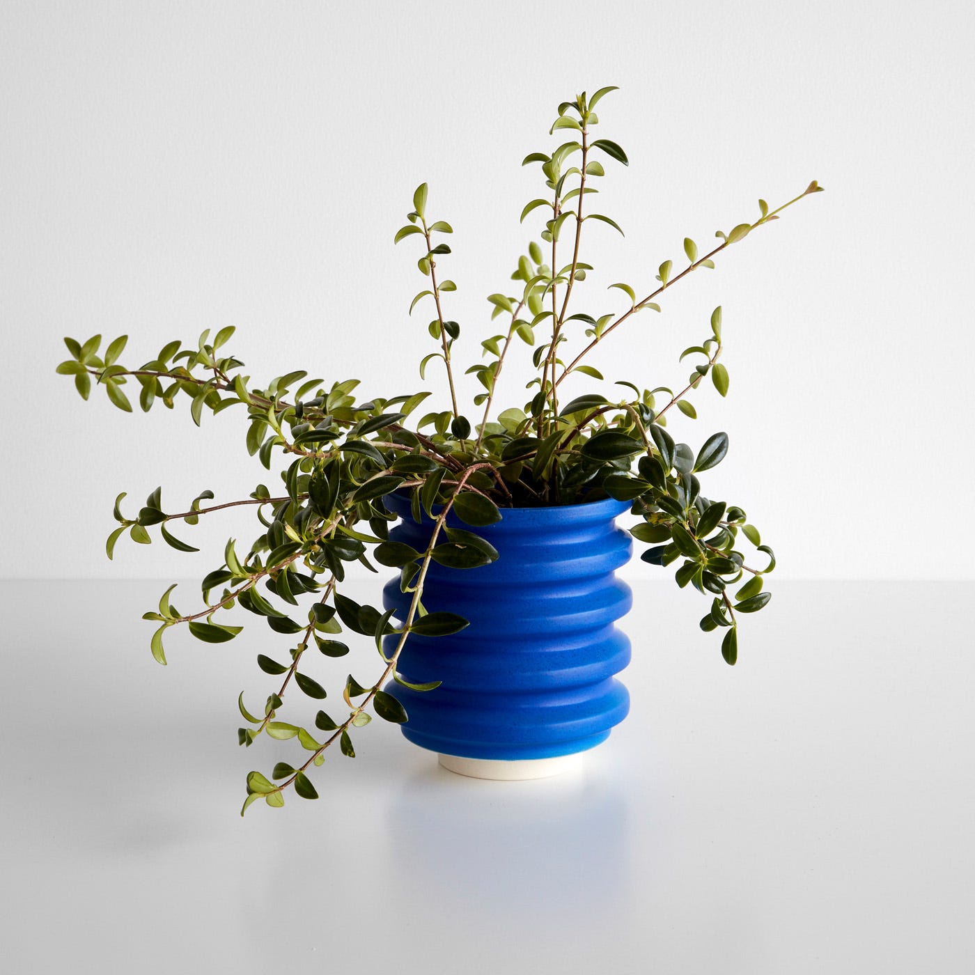 Block Electric Blue Planter