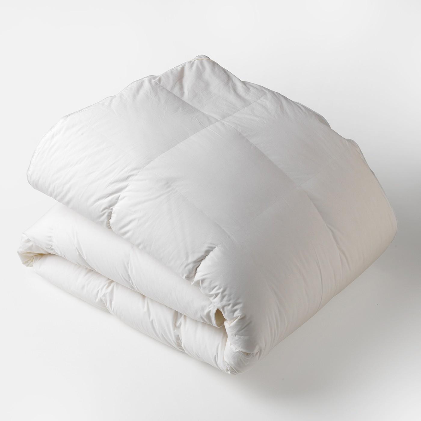 Duvet store insert full