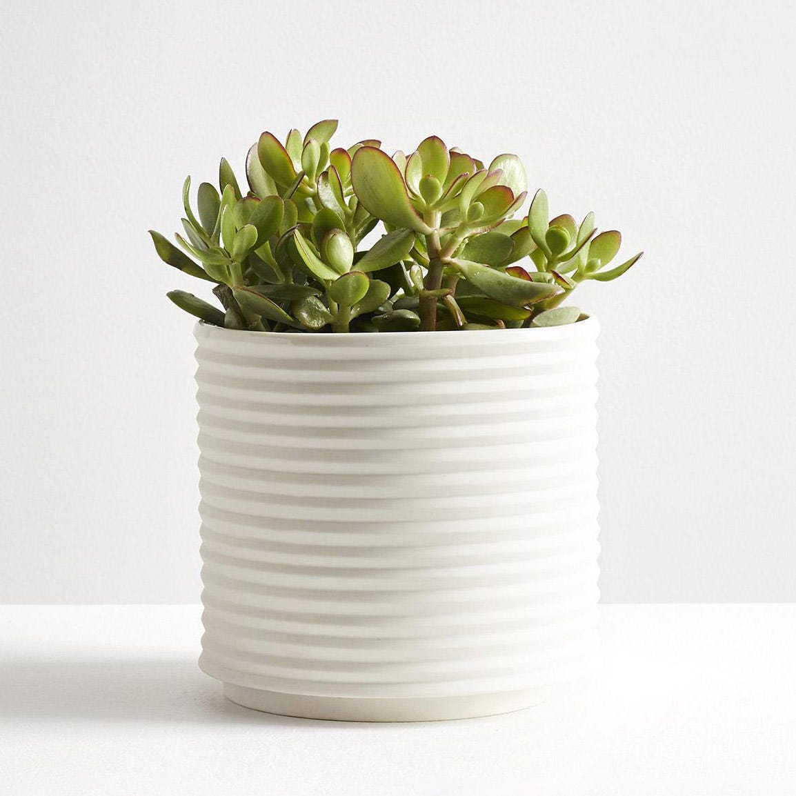 Oblique White Planter