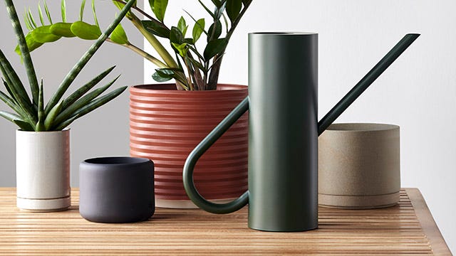 Vases + Planters