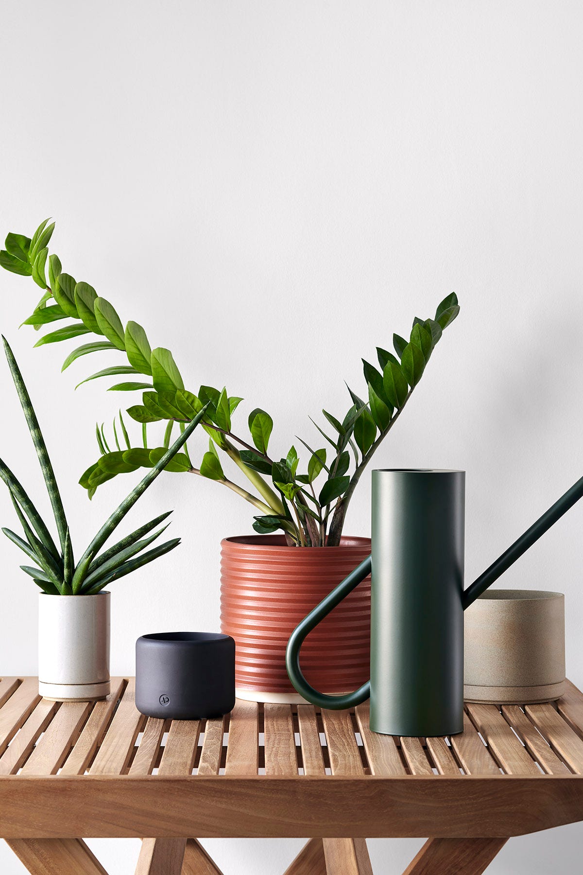 Vases + Planters